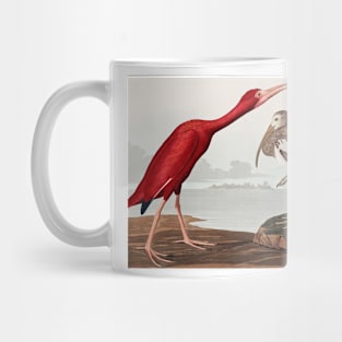 Bird of America  Bird, bird lover, america, beautiful  Public domain painting by John James Audubon Mug